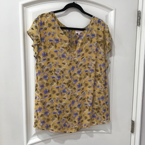 Molly & Isadora chiffon flower printed beautiful top size 2X - Picture 1 of 14